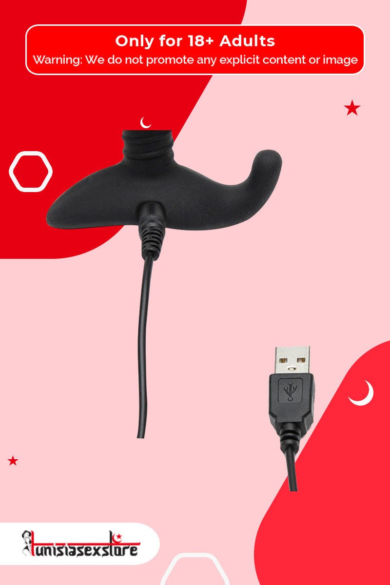 Lovense Hush App Controlled Vibrating Butt Plug (1.5 inch/1.75 inch) ACV-004